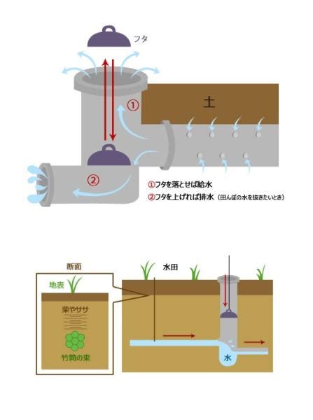 湛水意思|(七)灌排水技術